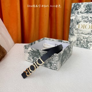 Dior-Belts