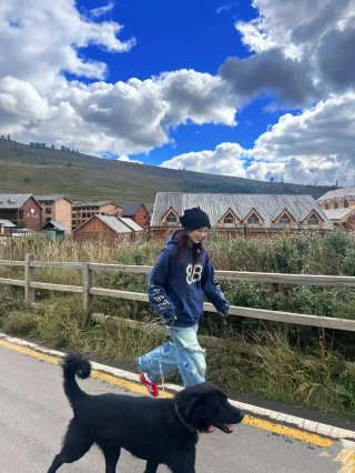 Hoodies & Sweatshirts