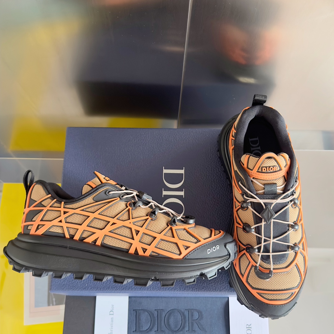 DiorSHOES