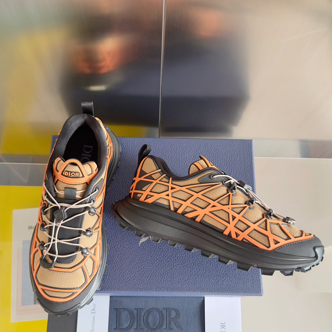 DiorSHOES