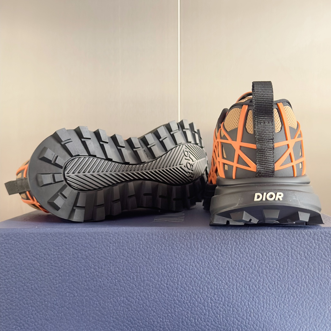 DiorSHOES
