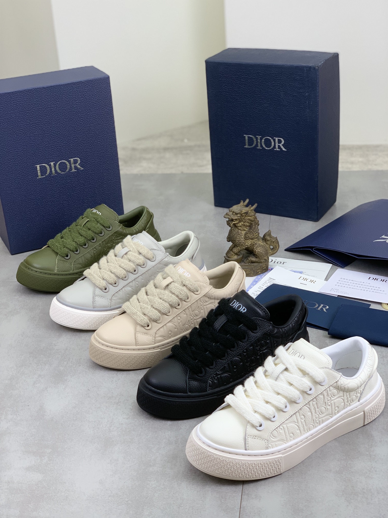 DiorSHOES