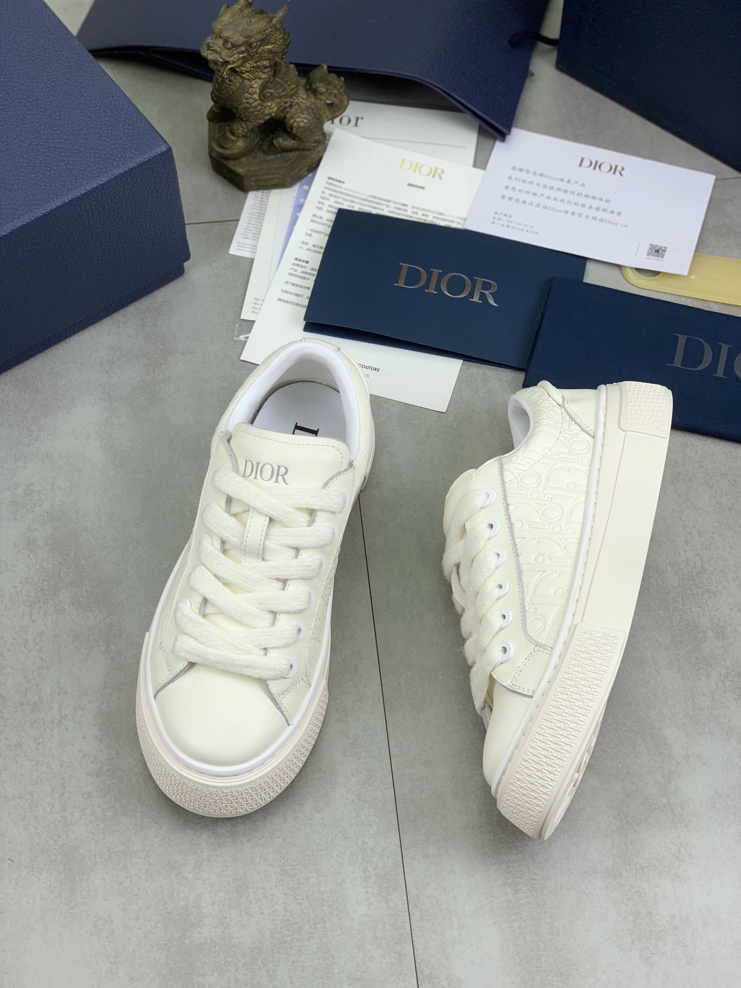 DiorSHOES